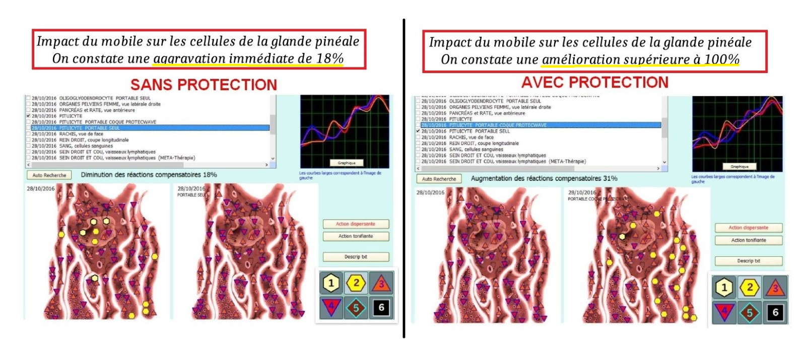 Effets sur la glande pinéale nrgy up